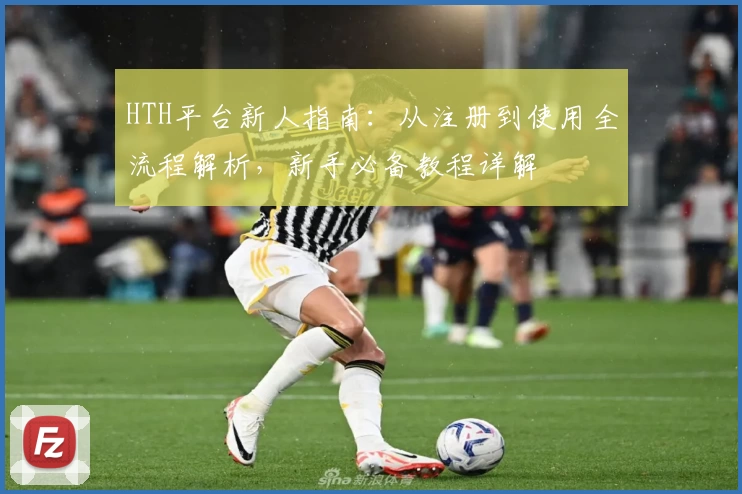 HTH平台新人指南：从注册到使用全流程解析，新手必备教程详解